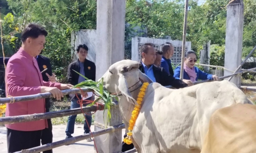 “พิธีมอบโค โครงการธนาคารโค-กระบือเพื่อเกษตรกร ตามพระราชดำริ”