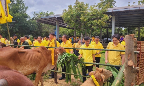 “พิธีมอบโค โครงการธนาคารโค-กระบือเพื่อเกษตรกร ตามพระราชดำริ”