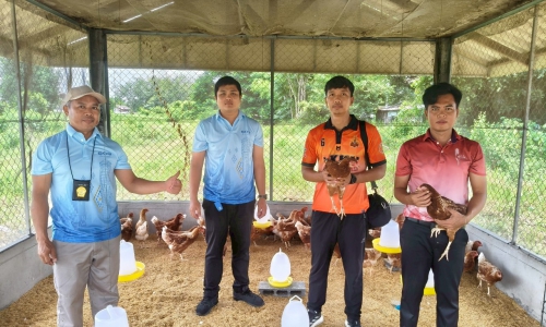 "ตรวจติดตามการส่งมอบวัสดุการเกษตร(ไก่ไข่) ภายใต้โครงการเกษตรเพื่ออาหารกลางวัน ปี พ.ศ. 2568"