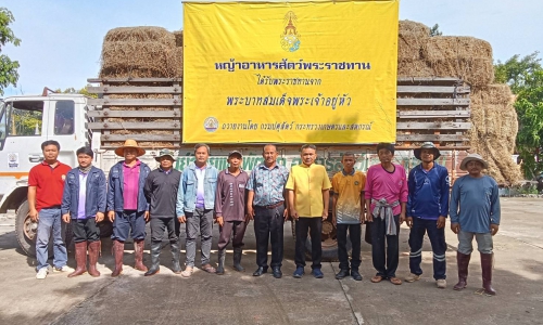 “มอบหญ้าอาหารสัตว์พระราชทาน”