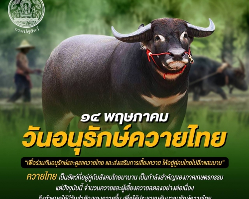 ประชาสัมพันธ์ วันอนุรักษ์ควายไทย